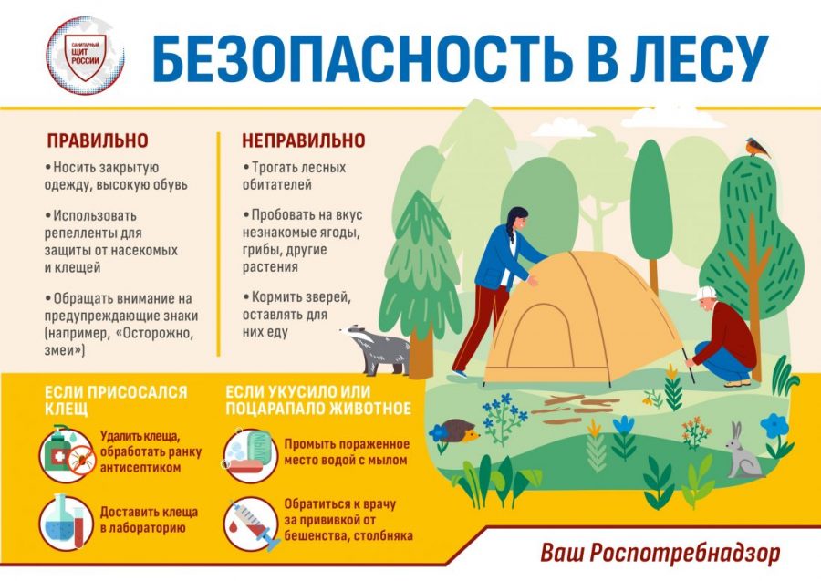 PLAKAT-A3_BEZOPASNOST-V-LESU_page-0001-e1745837919210